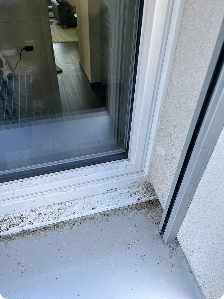 Coin de fenêtre au sol sale avec poussière, toile d’araignée et pollen