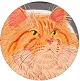 Photo de profil Google de Nadia Dias