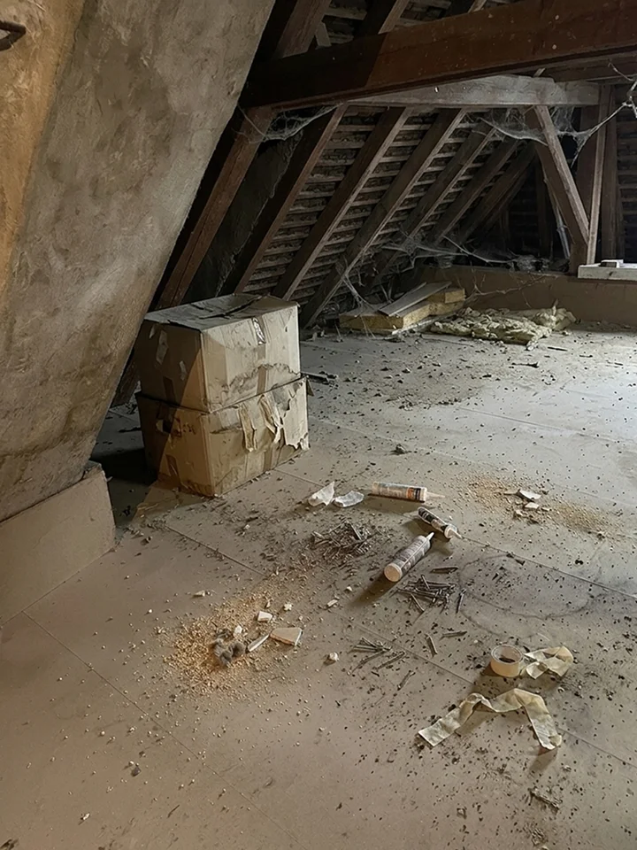 Grenier brut encombré de cartons et de débris, avec charpente visible et toiles d'araignées.